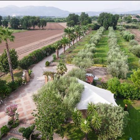 Villa Rosa Lifestyle B&B Sessa Aurunca Exterior photo